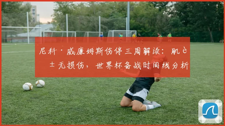 尼科·威廉姆斯伤停三周解读:肌腱无损伤,世界杯备战时间线分析