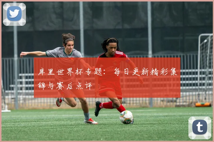 库里世界杯专题：每日更新精彩集锦与赛后点评