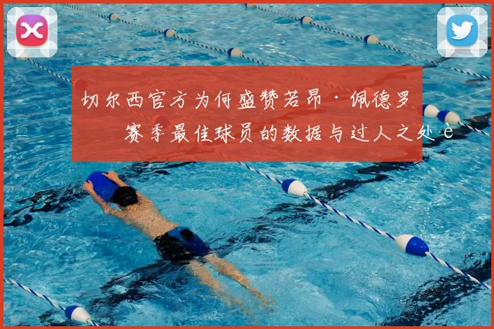 切尔西官方为何盛赞若昂·佩德罗?赛季最佳球员的数据与过人之处解析